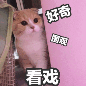 7.gif